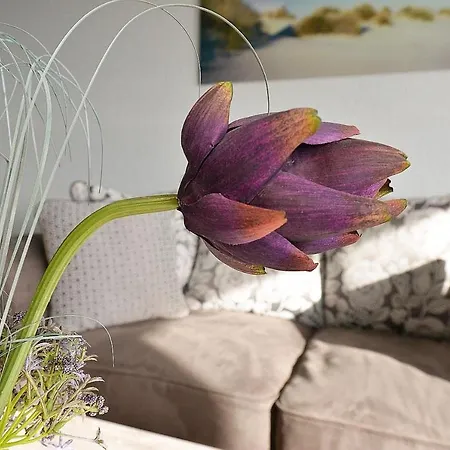 Strandhochhaus Shc1 *