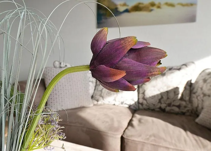 Strandhochhaus Shc1 *